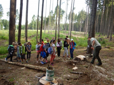 Lesník tentokrát ve vojenských lesích u Lipníka