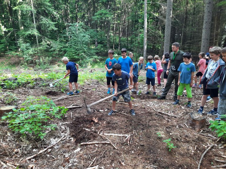 Děti ze základních škol v Chocni si vyzkoušely práci lesníka