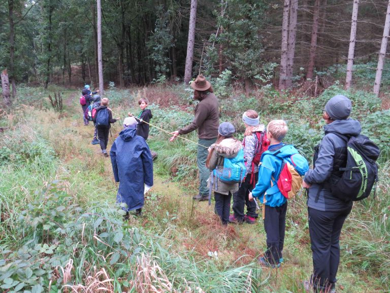 Lesy okolo rozhledny Bára navštívily děti