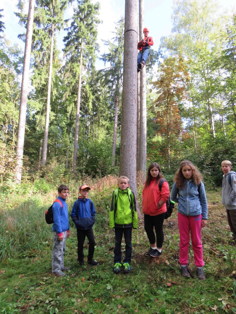 Trutnovské děti poznávaly práci lesníků