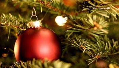 Češi na vánočním stromečku šetřit nehodlají, v průměru za něj utratí 500–1000 Kč
