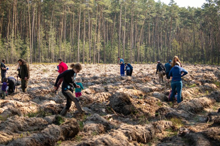 Eko den MONDI Štětí – akce pro ochranu lesa a podporu lesního hospodářství