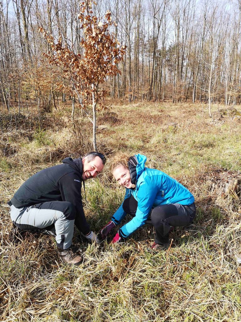 Spolupráce s organizací Cesta za snem přinesla lesu 2 222 nových stromů