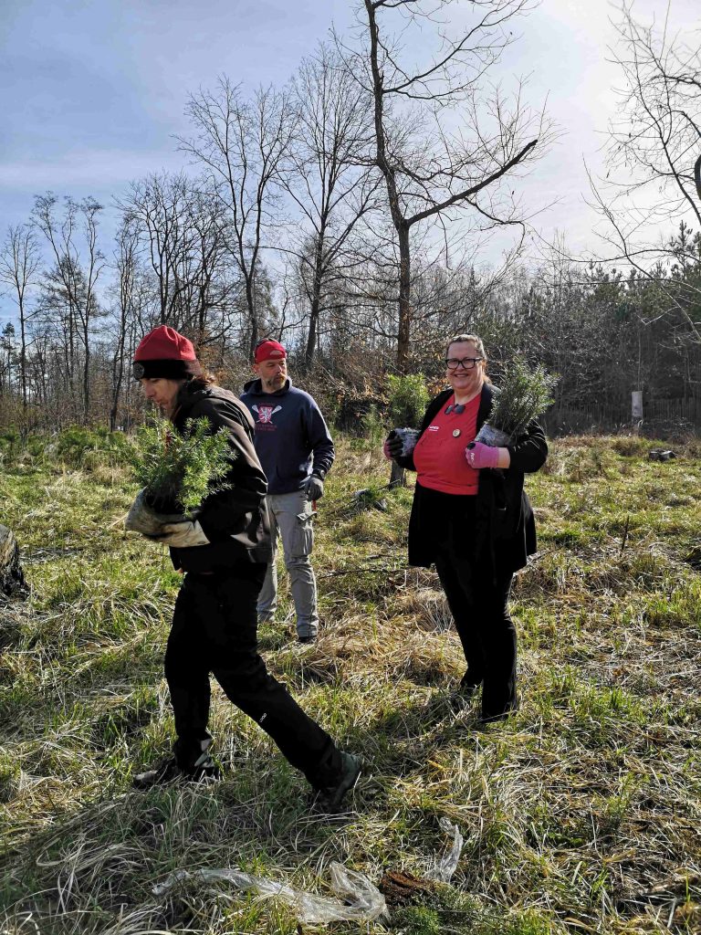 Spolupráce s organizací Cesta za snem přinesla lesu 2 222 nových stromů