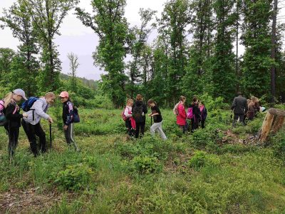 Vzdělávací akce o českých lesích v Chrudimi