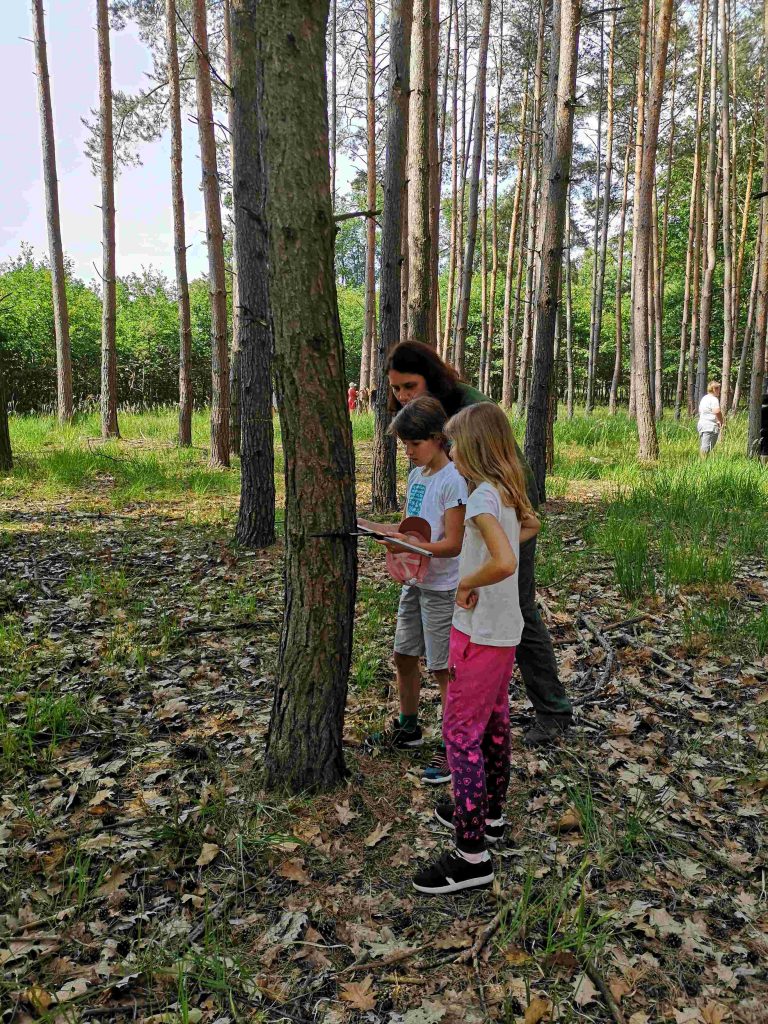 Nadace dřevo pro život osvěžuje povědomí o lesích v Oboře Kněžičky