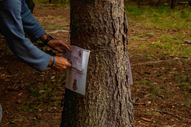 Nadace Dřevo pro život otevírá dveře do světa lesa