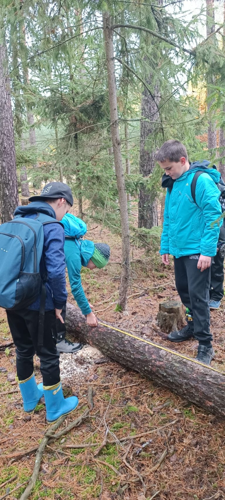 Do lesa s lesníkem: Učení skrze lesní dobrodružství