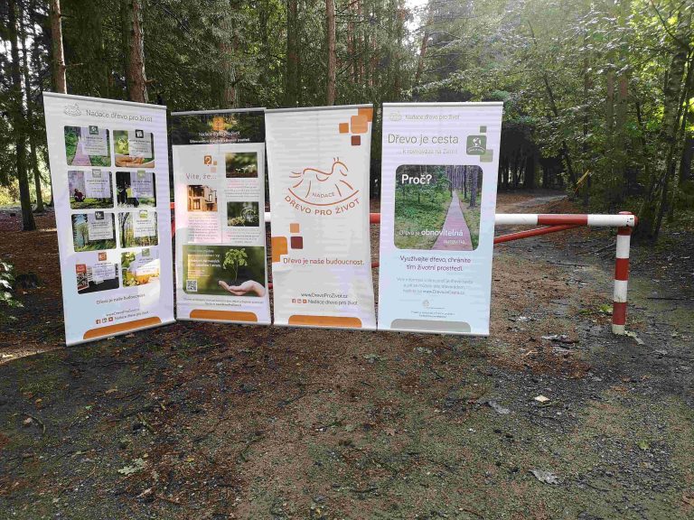Nadace Dřevo pro život otevírá dveře do světa lesa