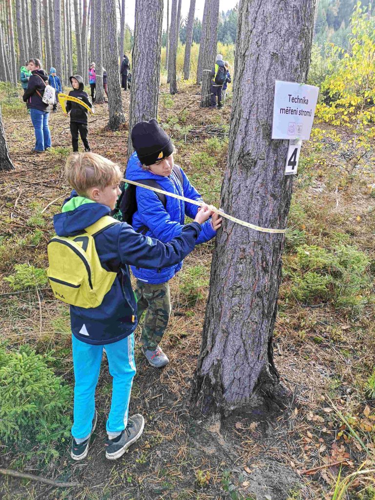 Do lesa s lesníkem: Pojďme objevovat české lesy