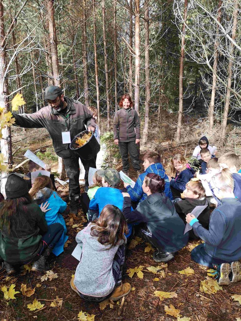 Do lesa s lesníkem: Pojďme objevovat české lesy