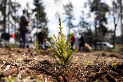 Rok 2023 ve sbírce Darujme stromečky lesu: Rosteme společně