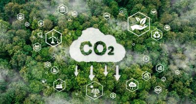Uhlíkové lesnictví – obhospodařovaný les jako cesta k ochraně klimatu